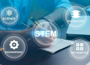 重慶引序科技 專(zhuān)業(yè)網(wǎng)站建設(shè)與網(wǎng)絡(luò)技術(shù)服務(wù)領(lǐng)航者