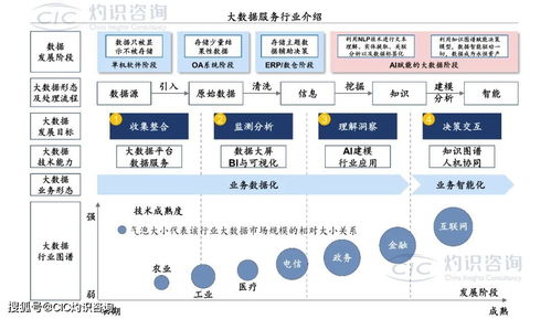 《中國(guó)商業(yè)大數(shù)據(jù)服務(wù)行業(yè)藍(lán)皮書》發(fā)布 洞見未來，數(shù)據(jù)賦能社會(huì)經(jīng)濟(jì)咨詢新篇章